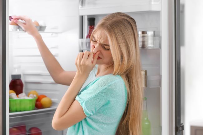 Como evitar cheiro ruim na geladeira: dicas práticas e eficientes